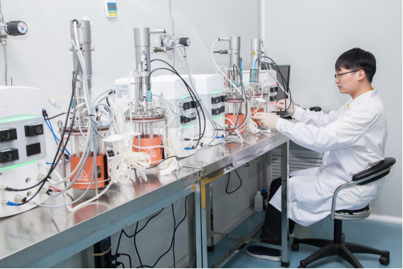 ��(gu��)�ҽ����������@�ݙ�(qu��n)������������ڶ�