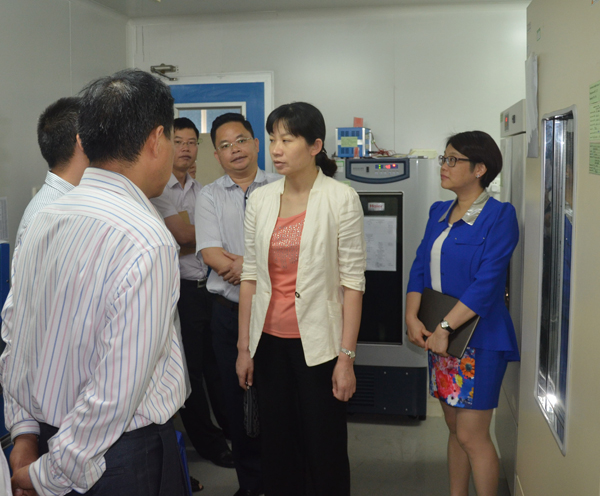 ��ɽ��ˎ�O(ji��n)���I(l��ng)��(d��o)�����������{(di��o)��